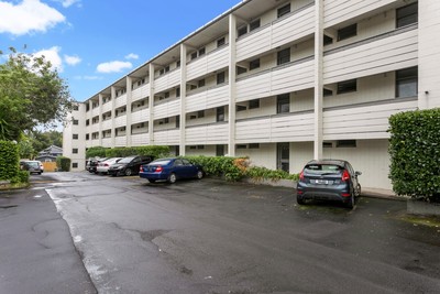 Mt Eden
